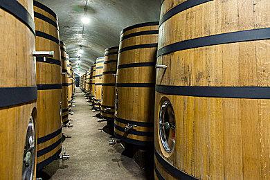 传PlayStation今夏没有发布会 大型活动锁定在9月